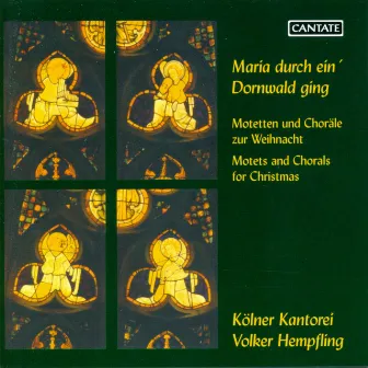 Choral Concert: Cologne Kantorei - Schroeter, L. / Sweelinck, J.P. / Brahms, J. / Bruch, M. / Reger, M. (Motets for Christmas) by Volker Hempfling