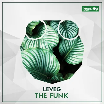 The Funk by Leveg