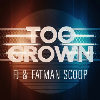 Too Grown by Fatman Scoop