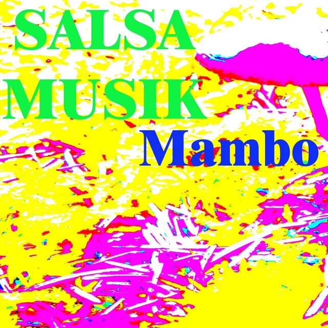 Salsa Musik