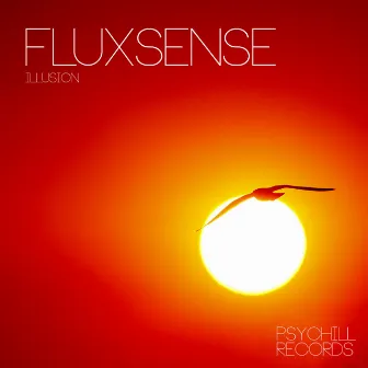 Illusion by Fluxsense