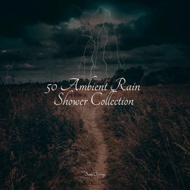 50 Ambient Rain Shower Collection