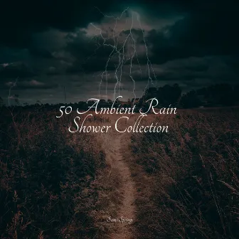 50 Ambient Rain Shower Collection by Relaxed Minds