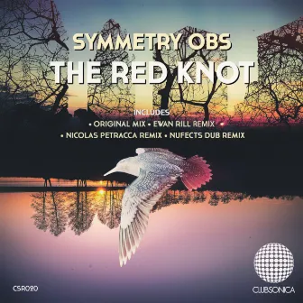 The Red Knot by Symmetry Obs