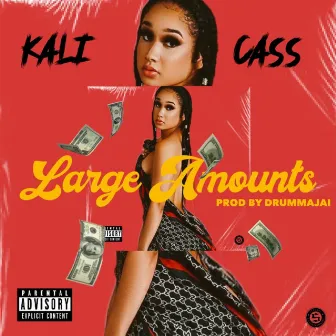 Large Amounts by Kali Cass