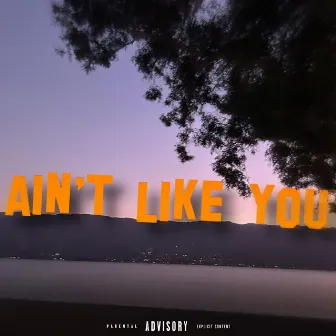 Aint Like You by Lilbrojay