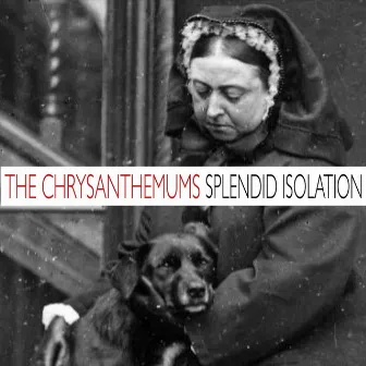 Splendid Isolation EP by The Chrysanthemums