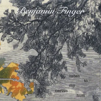 Listen To My Nerves Hum by Benjamin Finger