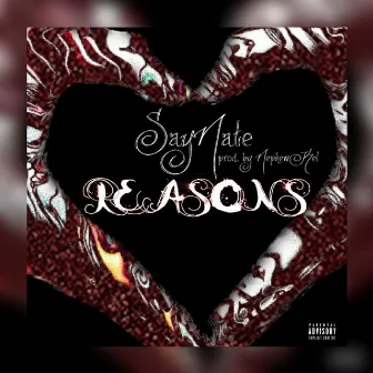 Reasons by SayNate