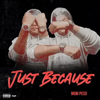 Just Because by MGM Peso