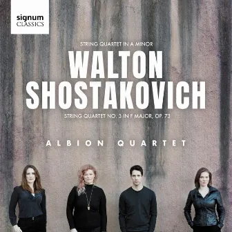 String Quartet No. 3 in F Major, Op. 73: III. Allegro non troppo by Albion Quartet