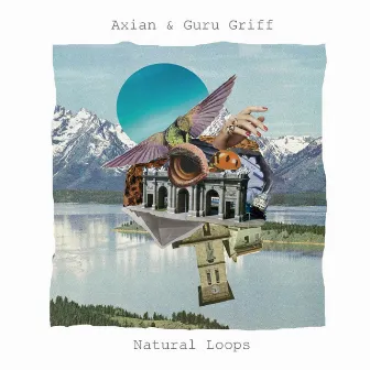 Natural Loops by Axian