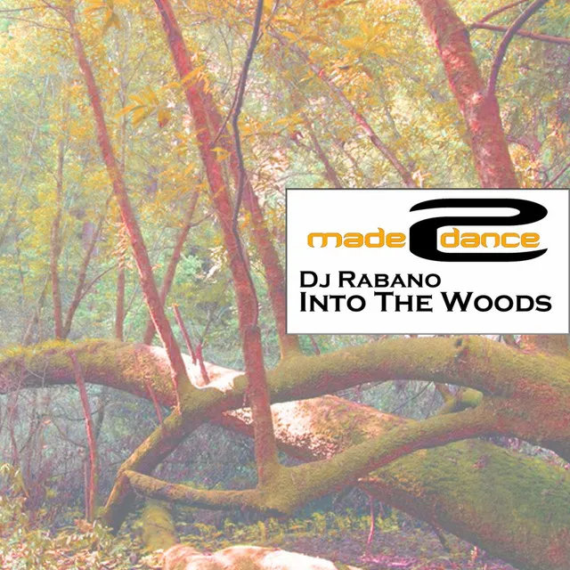 Into The Woods - Original Mix