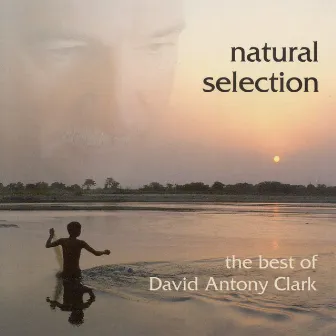 Clark, David Antony: Natural Selection by David Antony Clark