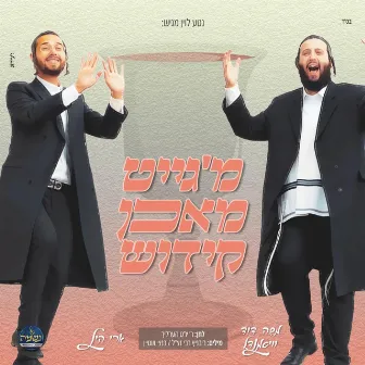 מ'גייט מאכן קידוש by Ari Hill