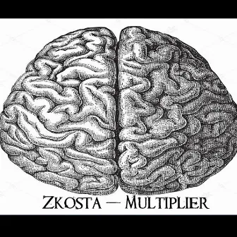 Multiplier by Zkosta