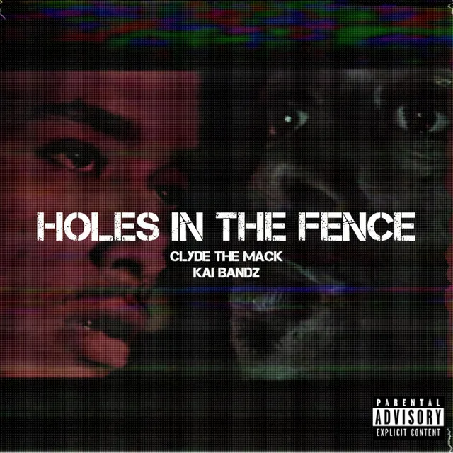 Holes in the Fence