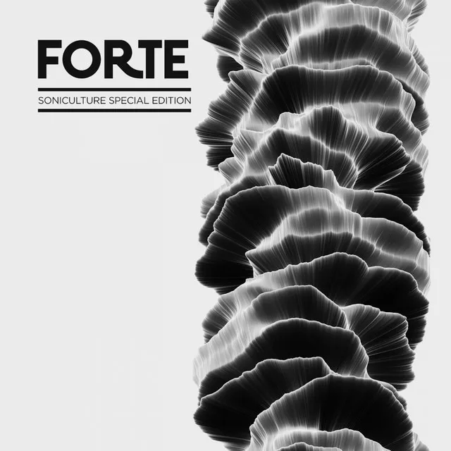 How Forte Are you - V i L Remix