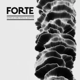 How Forte Are You by Expander