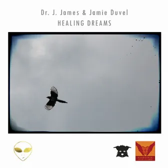 Healing Dreams by Dr. J. James