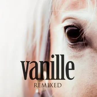 Vanille Remixed by JULIAN & DER FUX