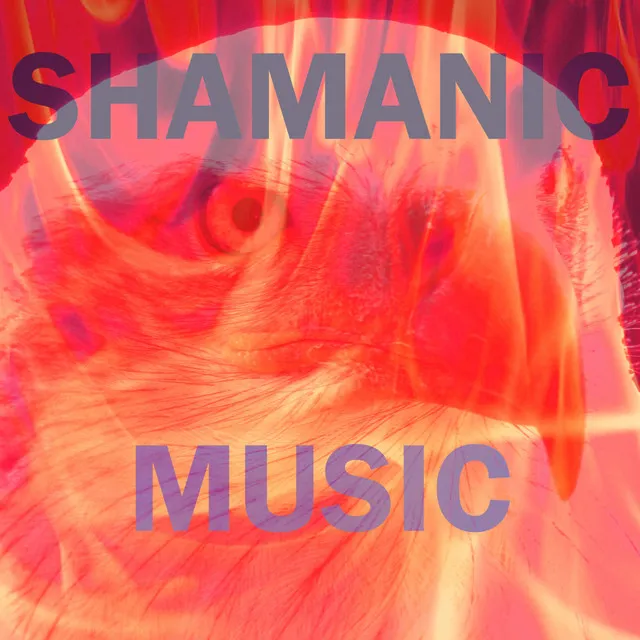 Shamanic Music