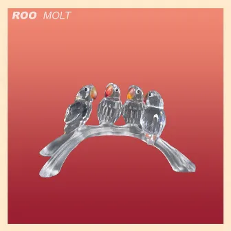 Molt by Roo