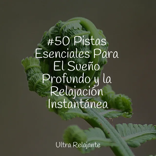 #50 Pistas Esenciales Para El Sueño Profundo y la Relajación Instantánea