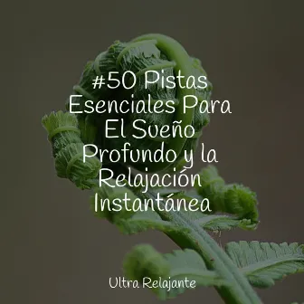 #50 Pistas Esenciales Para El Sueño Profundo y la Relajación Instantánea by Canciones De Cuna Para Dormir Bebes