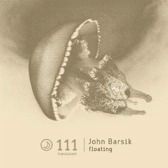 Floating by John Barsik