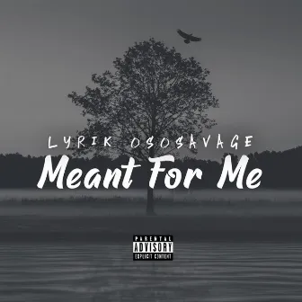 Meant for Me by Lyrik OsoSavage