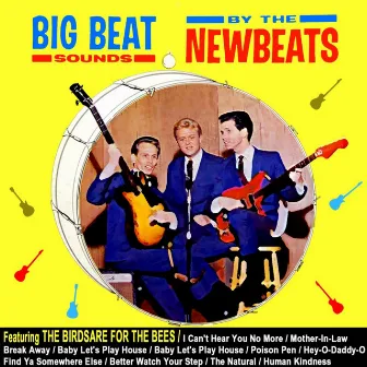 Big Beat Sounds by The Newbeats