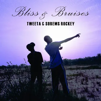 Bliss and bruises by Tweeta