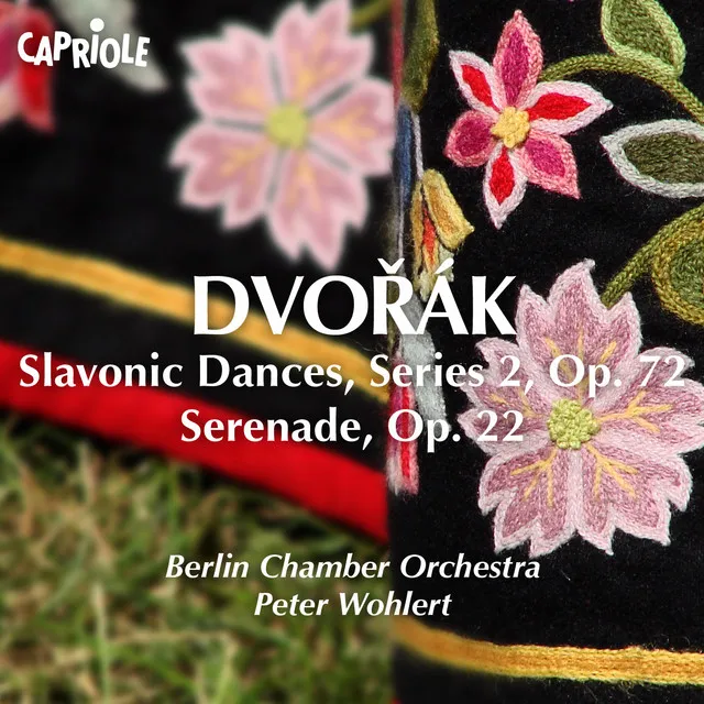 Serenade for Strings, Op. 22, B. 52: I. Moderato