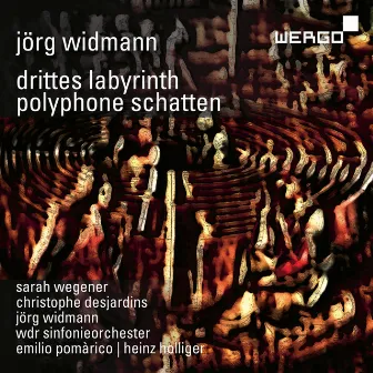 Jörg Widmann: Drittes Labyrinth | Polyphone Schatten by Emilio Pomárico