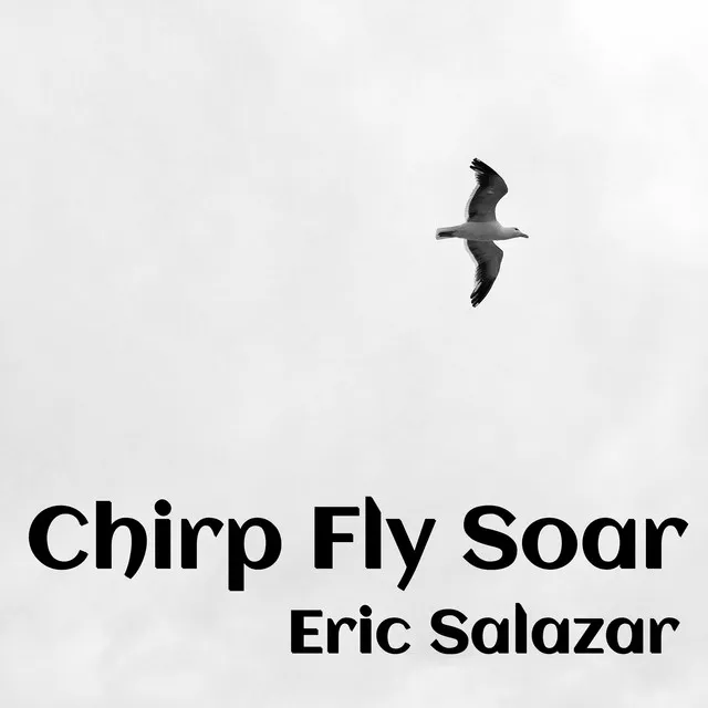 Chirp Fly Soar