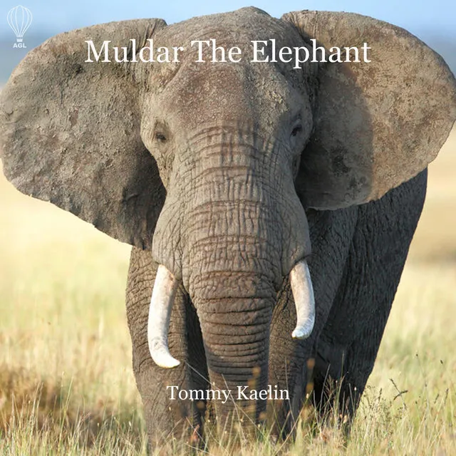 Muldar the Elephant (Live)