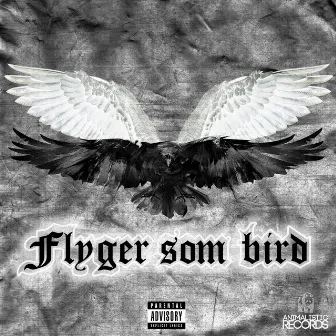 FLYGER SOM BIRD by S9ine