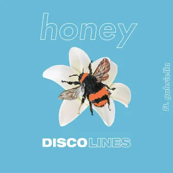 Honey by Disco Lines