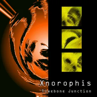 Timebone Junction by Xnorophis