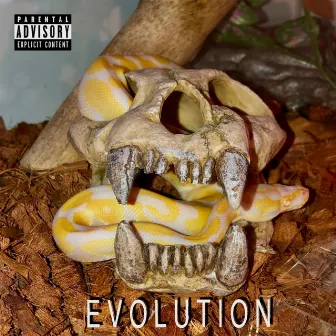 Evolution by Eugene Woodz