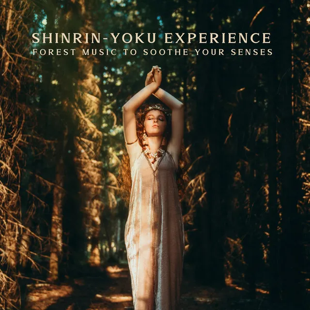 Shinrin-Yoku Experience: Forest Music to Soothe Your Senses