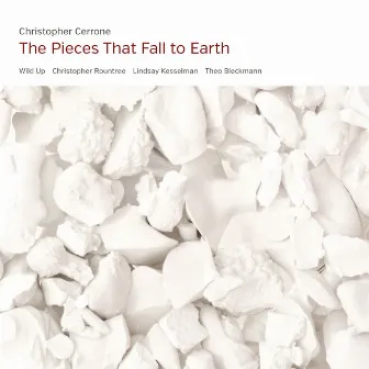 The Pieces That Fall to Earth by Christopher Cerrone