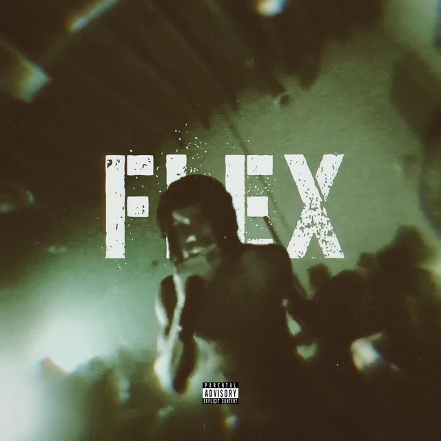 FLEX