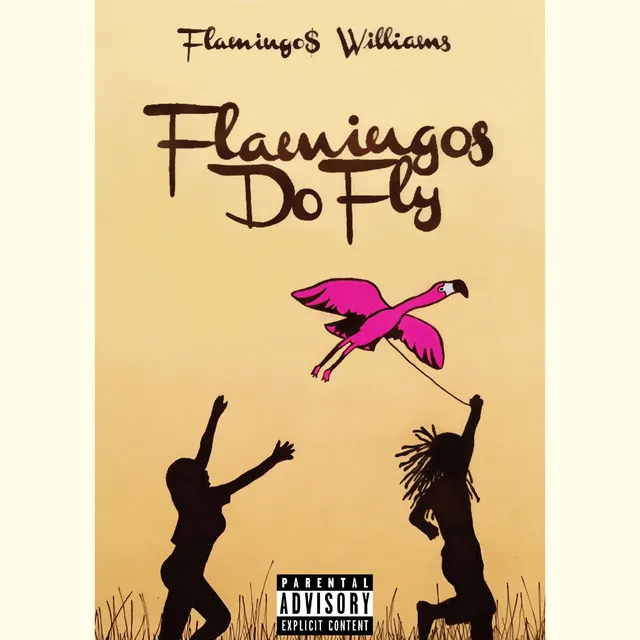 Flamingos Do Fly