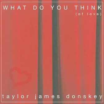 What Do You Think (of love) by Taylor James Donskey