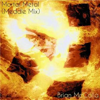 Mortal Metal (Meddle Mix) by Brian McCalla