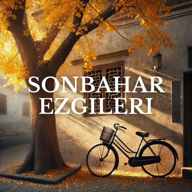 Sonbahar Gece Rüyası