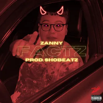 FACTZ by Zanny