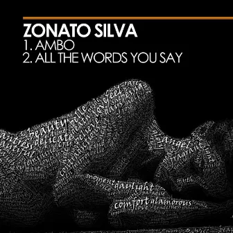 Ambo / All The Words You Say by Zonato Silva